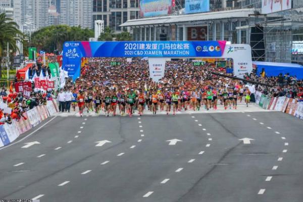 体育培训评估公司综合评价分析 体育培训评估公司综合评价分析(图1)